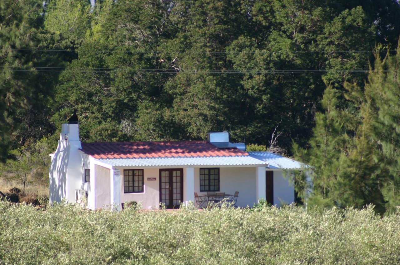 Fraaigelegen Farm - Home Of Adhara Evoo Tulbagh Exteriér fotografie