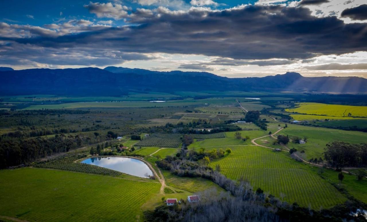 Fraaigelegen Farm - Home Of Adhara Evoo Tulbagh Exteriér fotografie